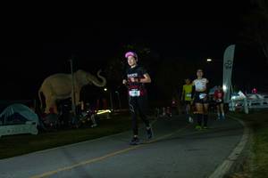 BIB: 
                            <button type="button" onclick="openModal(26172802)" class="btn btn-primary btn-sm float-right btn-popup" data-toggle="modal" data-target=".modal-high-quality">
                        <i class="fas fa-shopping-cart"></i> Add to Cart
                    </button>
                                            <button type="button" onclick="isThisMe(26172802, true)" class="btn btn-success btn-sm float-right btn-popup btn-isme hidden" data-toggle="tooltip" data-placement="bottom" title="นี่คือรูปของคุณใช่ไหม คลิกที่นี่เพื่อเอาเข้าอัลบั้ม">
                        <i class="fas fa-plus"></i> Add to album
                    </button>
                    <button type="button" onclick="isThisMe(26172802, false)" class="btn btn-warning btn-sm float-right btn-popup btn-isnotme hidden">
                        <i class="fas fa-ban"></i> Remove from album
                    </button>