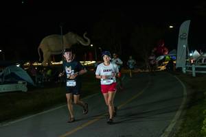 BIB: 
                            <button type="button" onclick="openModal(26173047)" class="btn btn-primary btn-sm float-right btn-popup" data-toggle="modal" data-target=".modal-high-quality">
                        <i class="fas fa-shopping-cart"></i> Add to Cart
                    </button>
                                            <button type="button" onclick="isThisMe(26173047, true)" class="btn btn-success btn-sm float-right btn-popup btn-isme hidden" data-toggle="tooltip" data-placement="bottom" title="นี่คือรูปของคุณใช่ไหม คลิกที่นี่เพื่อเอาเข้าอัลบั้ม">
                        <i class="fas fa-plus"></i> Add to album
                    </button>
                    <button type="button" onclick="isThisMe(26173047, false)" class="btn btn-warning btn-sm float-right btn-popup btn-isnotme hidden">
                        <i class="fas fa-ban"></i> Remove from album
                    </button>