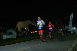 BIB: 
                            <button type="button" onclick="openModal(26172431)" class="btn btn-primary btn-sm float-right btn-popup" data-toggle="modal" data-target=".modal-high-quality">
                        <i class="fas fa-shopping-cart"></i> Add to Cart
                    </button>
                                            <button type="button" onclick="isThisMe(26172431, true)" class="btn btn-success btn-sm float-right btn-popup btn-isme hidden" data-toggle="tooltip" data-placement="bottom" title="นี่คือรูปของคุณใช่ไหม คลิกที่นี่เพื่อเอาเข้าอัลบั้ม">
                        <i class="fas fa-plus"></i> Add to album
                    </button>
                    <button type="button" onclick="isThisMe(26172431, false)" class="btn btn-warning btn-sm float-right btn-popup btn-isnotme hidden">
                        <i class="fas fa-ban"></i> Remove from album
                    </button>