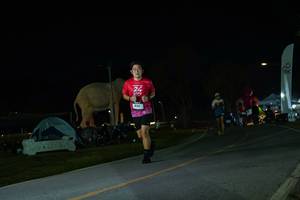 BIB: 
                            <button type="button" onclick="openModal(26172547)" class="btn btn-primary btn-sm float-right btn-popup" data-toggle="modal" data-target=".modal-high-quality">
                        <i class="fas fa-shopping-cart"></i> Add to Cart
                    </button>
                                            <button type="button" onclick="isThisMe(26172547, true)" class="btn btn-success btn-sm float-right btn-popup btn-isme hidden" data-toggle="tooltip" data-placement="bottom" title="นี่คือรูปของคุณใช่ไหม คลิกที่นี่เพื่อเอาเข้าอัลบั้ม">
                        <i class="fas fa-plus"></i> Add to album
                    </button>
                    <button type="button" onclick="isThisMe(26172547, false)" class="btn btn-warning btn-sm float-right btn-popup btn-isnotme hidden">
                        <i class="fas fa-ban"></i> Remove from album
                    </button>