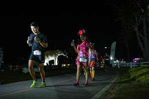 BIB: 
                            <button type="button" onclick="openModal(26171840)" class="btn btn-primary btn-sm float-right btn-popup" data-toggle="modal" data-target=".modal-high-quality">
                        <i class="fas fa-shopping-cart"></i> Add to Cart
                    </button>
                                            <button type="button" onclick="isThisMe(26171840, true)" class="btn btn-success btn-sm float-right btn-popup btn-isme hidden" data-toggle="tooltip" data-placement="bottom" title="นี่คือรูปของคุณใช่ไหม คลิกที่นี่เพื่อเอาเข้าอัลบั้ม">
                        <i class="fas fa-plus"></i> Add to album
                    </button>
                    <button type="button" onclick="isThisMe(26171840, false)" class="btn btn-warning btn-sm float-right btn-popup btn-isnotme hidden">
                        <i class="fas fa-ban"></i> Remove from album
                    </button>