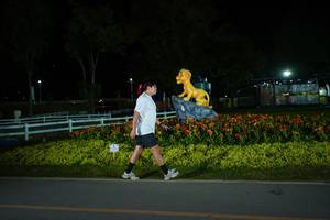 BIB: 
                            <button type="button" onclick="openModal(26170471)" class="btn btn-primary btn-sm float-right btn-popup" data-toggle="modal" data-target=".modal-high-quality">
                        <i class="fas fa-shopping-cart"></i> Add to Cart
                    </button>
                                            <button type="button" onclick="isThisMe(26170471, true)" class="btn btn-success btn-sm float-right btn-popup btn-isme hidden" data-toggle="tooltip" data-placement="bottom" title="นี่คือรูปของคุณใช่ไหม คลิกที่นี่เพื่อเอาเข้าอัลบั้ม">
                        <i class="fas fa-plus"></i> Add to album
                    </button>
                    <button type="button" onclick="isThisMe(26170471, false)" class="btn btn-warning btn-sm float-right btn-popup btn-isnotme hidden">
                        <i class="fas fa-ban"></i> Remove from album
                    </button>