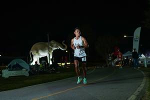 BIB: 
                            <button type="button" onclick="openModal(26172171)" class="btn btn-primary btn-sm float-right btn-popup" data-toggle="modal" data-target=".modal-high-quality">
                        <i class="fas fa-shopping-cart"></i> Add to Cart
                    </button>
                                            <button type="button" onclick="isThisMe(26172171, true)" class="btn btn-success btn-sm float-right btn-popup btn-isme hidden" data-toggle="tooltip" data-placement="bottom" title="นี่คือรูปของคุณใช่ไหม คลิกที่นี่เพื่อเอาเข้าอัลบั้ม">
                        <i class="fas fa-plus"></i> Add to album
                    </button>
                    <button type="button" onclick="isThisMe(26172171, false)" class="btn btn-warning btn-sm float-right btn-popup btn-isnotme hidden">
                        <i class="fas fa-ban"></i> Remove from album
                    </button>