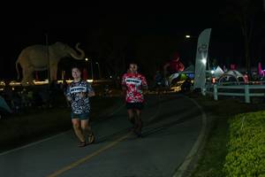 BIB: 
                            <button type="button" onclick="openModal(26173048)" class="btn btn-primary btn-sm float-right btn-popup" data-toggle="modal" data-target=".modal-high-quality">
                        <i class="fas fa-shopping-cart"></i> Add to Cart
                    </button>
                                            <button type="button" onclick="isThisMe(26173048, true)" class="btn btn-success btn-sm float-right btn-popup btn-isme hidden" data-toggle="tooltip" data-placement="bottom" title="นี่คือรูปของคุณใช่ไหม คลิกที่นี่เพื่อเอาเข้าอัลบั้ม">
                        <i class="fas fa-plus"></i> Add to album
                    </button>
                    <button type="button" onclick="isThisMe(26173048, false)" class="btn btn-warning btn-sm float-right btn-popup btn-isnotme hidden">
                        <i class="fas fa-ban"></i> Remove from album
                    </button>