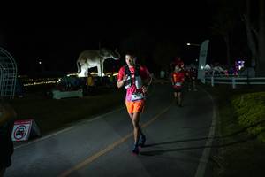 BIB: 
                            <button type="button" onclick="openModal(26171683)" class="btn btn-primary btn-sm float-right btn-popup" data-toggle="modal" data-target=".modal-high-quality">
                        <i class="fas fa-shopping-cart"></i> Add to Cart
                    </button>
                                            <button type="button" onclick="isThisMe(26171683, true)" class="btn btn-success btn-sm float-right btn-popup btn-isme hidden" data-toggle="tooltip" data-placement="bottom" title="นี่คือรูปของคุณใช่ไหม คลิกที่นี่เพื่อเอาเข้าอัลบั้ม">
                        <i class="fas fa-plus"></i> Add to album
                    </button>
                    <button type="button" onclick="isThisMe(26171683, false)" class="btn btn-warning btn-sm float-right btn-popup btn-isnotme hidden">
                        <i class="fas fa-ban"></i> Remove from album
                    </button>