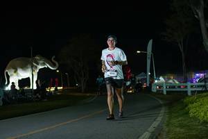 BIB: 
                            <button type="button" onclick="openModal(26172192)" class="btn btn-primary btn-sm float-right btn-popup" data-toggle="modal" data-target=".modal-high-quality">
                        <i class="fas fa-shopping-cart"></i> Add to Cart
                    </button>
                                            <button type="button" onclick="isThisMe(26172192, true)" class="btn btn-success btn-sm float-right btn-popup btn-isme hidden" data-toggle="tooltip" data-placement="bottom" title="นี่คือรูปของคุณใช่ไหม คลิกที่นี่เพื่อเอาเข้าอัลบั้ม">
                        <i class="fas fa-plus"></i> Add to album
                    </button>
                    <button type="button" onclick="isThisMe(26172192, false)" class="btn btn-warning btn-sm float-right btn-popup btn-isnotme hidden">
                        <i class="fas fa-ban"></i> Remove from album
                    </button>