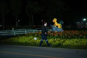 BIB: 
                            <button type="button" onclick="openModal(26170954)" class="btn btn-primary btn-sm float-right btn-popup" data-toggle="modal" data-target=".modal-high-quality">
                        <i class="fas fa-shopping-cart"></i> Add to Cart
                    </button>
                                            <button type="button" onclick="isThisMe(26170954, true)" class="btn btn-success btn-sm float-right btn-popup btn-isme hidden" data-toggle="tooltip" data-placement="bottom" title="นี่คือรูปของคุณใช่ไหม คลิกที่นี่เพื่อเอาเข้าอัลบั้ม">
                        <i class="fas fa-plus"></i> Add to album
                    </button>
                    <button type="button" onclick="isThisMe(26170954, false)" class="btn btn-warning btn-sm float-right btn-popup btn-isnotme hidden">
                        <i class="fas fa-ban"></i> Remove from album
                    </button>