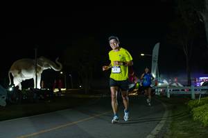 BIB: 
                            <button type="button" onclick="openModal(26172291)" class="btn btn-primary btn-sm float-right btn-popup" data-toggle="modal" data-target=".modal-high-quality">
                        <i class="fas fa-shopping-cart"></i> Add to Cart
                    </button>
                                            <button type="button" onclick="isThisMe(26172291, true)" class="btn btn-success btn-sm float-right btn-popup btn-isme hidden" data-toggle="tooltip" data-placement="bottom" title="นี่คือรูปของคุณใช่ไหม คลิกที่นี่เพื่อเอาเข้าอัลบั้ม">
                        <i class="fas fa-plus"></i> Add to album
                    </button>
                    <button type="button" onclick="isThisMe(26172291, false)" class="btn btn-warning btn-sm float-right btn-popup btn-isnotme hidden">
                        <i class="fas fa-ban"></i> Remove from album
                    </button>