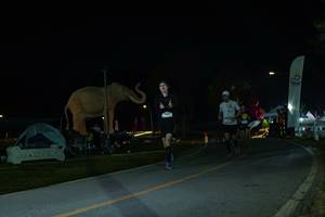 BIB: 
                            <button type="button" onclick="openModal(26172948)" class="btn btn-primary btn-sm float-right btn-popup" data-toggle="modal" data-target=".modal-high-quality">
                        <i class="fas fa-shopping-cart"></i> Add to Cart
                    </button>
                                            <button type="button" onclick="isThisMe(26172948, true)" class="btn btn-success btn-sm float-right btn-popup btn-isme hidden" data-toggle="tooltip" data-placement="bottom" title="นี่คือรูปของคุณใช่ไหม คลิกที่นี่เพื่อเอาเข้าอัลบั้ม">
                        <i class="fas fa-plus"></i> Add to album
                    </button>
                    <button type="button" onclick="isThisMe(26172948, false)" class="btn btn-warning btn-sm float-right btn-popup btn-isnotme hidden">
                        <i class="fas fa-ban"></i> Remove from album
                    </button>