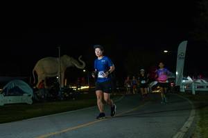 BIB: 
                            <button type="button" onclick="openModal(26172758)" class="btn btn-primary btn-sm float-right btn-popup" data-toggle="modal" data-target=".modal-high-quality">
                        <i class="fas fa-shopping-cart"></i> Add to Cart
                    </button>
                                            <button type="button" onclick="isThisMe(26172758, true)" class="btn btn-success btn-sm float-right btn-popup btn-isme hidden" data-toggle="tooltip" data-placement="bottom" title="นี่คือรูปของคุณใช่ไหม คลิกที่นี่เพื่อเอาเข้าอัลบั้ม">
                        <i class="fas fa-plus"></i> Add to album
                    </button>
                    <button type="button" onclick="isThisMe(26172758, false)" class="btn btn-warning btn-sm float-right btn-popup btn-isnotme hidden">
                        <i class="fas fa-ban"></i> Remove from album
                    </button>