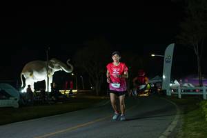 BIB: 
                            <button type="button" onclick="openModal(26172180)" class="btn btn-primary btn-sm float-right btn-popup" data-toggle="modal" data-target=".modal-high-quality">
                        <i class="fas fa-shopping-cart"></i> Add to Cart
                    </button>
                                            <button type="button" onclick="isThisMe(26172180, true)" class="btn btn-success btn-sm float-right btn-popup btn-isme hidden" data-toggle="tooltip" data-placement="bottom" title="นี่คือรูปของคุณใช่ไหม คลิกที่นี่เพื่อเอาเข้าอัลบั้ม">
                        <i class="fas fa-plus"></i> Add to album
                    </button>
                    <button type="button" onclick="isThisMe(26172180, false)" class="btn btn-warning btn-sm float-right btn-popup btn-isnotme hidden">
                        <i class="fas fa-ban"></i> Remove from album
                    </button>