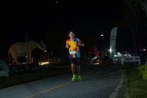 BIB: 
                            <button type="button" onclick="openModal(26172688)" class="btn btn-primary btn-sm float-right btn-popup" data-toggle="modal" data-target=".modal-high-quality">
                        <i class="fas fa-shopping-cart"></i> Add to Cart
                    </button>
                                            <button type="button" onclick="isThisMe(26172688, true)" class="btn btn-success btn-sm float-right btn-popup btn-isme hidden" data-toggle="tooltip" data-placement="bottom" title="นี่คือรูปของคุณใช่ไหม คลิกที่นี่เพื่อเอาเข้าอัลบั้ม">
                        <i class="fas fa-plus"></i> Add to album
                    </button>
                    <button type="button" onclick="isThisMe(26172688, false)" class="btn btn-warning btn-sm float-right btn-popup btn-isnotme hidden">
                        <i class="fas fa-ban"></i> Remove from album
                    </button>