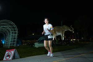 BIB: 
                            <button type="button" onclick="openModal(26172261)" class="btn btn-primary btn-sm float-right btn-popup" data-toggle="modal" data-target=".modal-high-quality">
                        <i class="fas fa-shopping-cart"></i> Add to Cart
                    </button>
                                            <button type="button" onclick="isThisMe(26172261, true)" class="btn btn-success btn-sm float-right btn-popup btn-isme hidden" data-toggle="tooltip" data-placement="bottom" title="นี่คือรูปของคุณใช่ไหม คลิกที่นี่เพื่อเอาเข้าอัลบั้ม">
                        <i class="fas fa-plus"></i> Add to album
                    </button>
                    <button type="button" onclick="isThisMe(26172261, false)" class="btn btn-warning btn-sm float-right btn-popup btn-isnotme hidden">
                        <i class="fas fa-ban"></i> Remove from album
                    </button>