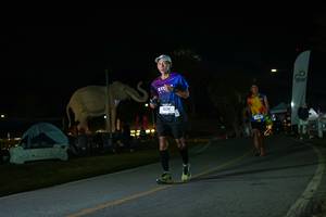 BIB: 
                            <button type="button" onclick="openModal(26172663)" class="btn btn-primary btn-sm float-right btn-popup" data-toggle="modal" data-target=".modal-high-quality">
                        <i class="fas fa-shopping-cart"></i> Add to Cart
                    </button>
                                            <button type="button" onclick="isThisMe(26172663, true)" class="btn btn-success btn-sm float-right btn-popup btn-isme hidden" data-toggle="tooltip" data-placement="bottom" title="นี่คือรูปของคุณใช่ไหม คลิกที่นี่เพื่อเอาเข้าอัลบั้ม">
                        <i class="fas fa-plus"></i> Add to album
                    </button>
                    <button type="button" onclick="isThisMe(26172663, false)" class="btn btn-warning btn-sm float-right btn-popup btn-isnotme hidden">
                        <i class="fas fa-ban"></i> Remove from album
                    </button>