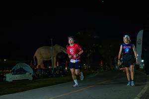 BIB: 
                            <button type="button" onclick="openModal(26172579)" class="btn btn-primary btn-sm float-right btn-popup" data-toggle="modal" data-target=".modal-high-quality">
                        <i class="fas fa-shopping-cart"></i> Add to Cart
                    </button>
                                            <button type="button" onclick="isThisMe(26172579, true)" class="btn btn-success btn-sm float-right btn-popup btn-isme hidden" data-toggle="tooltip" data-placement="bottom" title="นี่คือรูปของคุณใช่ไหม คลิกที่นี่เพื่อเอาเข้าอัลบั้ม">
                        <i class="fas fa-plus"></i> Add to album
                    </button>
                    <button type="button" onclick="isThisMe(26172579, false)" class="btn btn-warning btn-sm float-right btn-popup btn-isnotme hidden">
                        <i class="fas fa-ban"></i> Remove from album
                    </button>