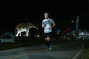 BIB: 
                            <button type="button" onclick="openModal(26172205)" class="btn btn-primary btn-sm float-right btn-popup" data-toggle="modal" data-target=".modal-high-quality">
                        <i class="fas fa-shopping-cart"></i> Add to Cart
                    </button>
                                            <button type="button" onclick="isThisMe(26172205, true)" class="btn btn-success btn-sm float-right btn-popup btn-isme hidden" data-toggle="tooltip" data-placement="bottom" title="นี่คือรูปของคุณใช่ไหม คลิกที่นี่เพื่อเอาเข้าอัลบั้ม">
                        <i class="fas fa-plus"></i> Add to album
                    </button>
                    <button type="button" onclick="isThisMe(26172205, false)" class="btn btn-warning btn-sm float-right btn-popup btn-isnotme hidden">
                        <i class="fas fa-ban"></i> Remove from album
                    </button>