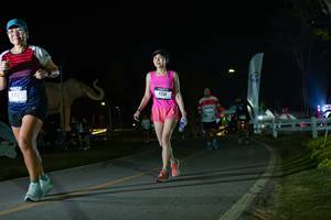 BIB: 
                            <button type="button" onclick="openModal(26172790)" class="btn btn-primary btn-sm float-right btn-popup" data-toggle="modal" data-target=".modal-high-quality">
                        <i class="fas fa-shopping-cart"></i> Add to Cart
                    </button>
                                            <button type="button" onclick="isThisMe(26172790, true)" class="btn btn-success btn-sm float-right btn-popup btn-isme hidden" data-toggle="tooltip" data-placement="bottom" title="นี่คือรูปของคุณใช่ไหม คลิกที่นี่เพื่อเอาเข้าอัลบั้ม">
                        <i class="fas fa-plus"></i> Add to album
                    </button>
                    <button type="button" onclick="isThisMe(26172790, false)" class="btn btn-warning btn-sm float-right btn-popup btn-isnotme hidden">
                        <i class="fas fa-ban"></i> Remove from album
                    </button>