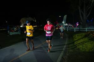 BIB: 
                            <button type="button" onclick="openModal(26171777)" class="btn btn-primary btn-sm float-right btn-popup" data-toggle="modal" data-target=".modal-high-quality">
                        <i class="fas fa-shopping-cart"></i> Add to Cart
                    </button>
                                            <button type="button" onclick="isThisMe(26171777, true)" class="btn btn-success btn-sm float-right btn-popup btn-isme hidden" data-toggle="tooltip" data-placement="bottom" title="นี่คือรูปของคุณใช่ไหม คลิกที่นี่เพื่อเอาเข้าอัลบั้ม">
                        <i class="fas fa-plus"></i> Add to album
                    </button>
                    <button type="button" onclick="isThisMe(26171777, false)" class="btn btn-warning btn-sm float-right btn-popup btn-isnotme hidden">
                        <i class="fas fa-ban"></i> Remove from album
                    </button>