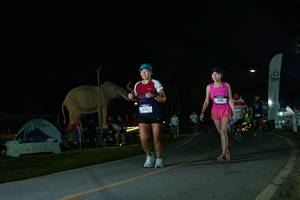 BIB: 
                            <button type="button" onclick="openModal(26172788)" class="btn btn-primary btn-sm float-right btn-popup" data-toggle="modal" data-target=".modal-high-quality">
                        <i class="fas fa-shopping-cart"></i> Add to Cart
                    </button>
                                            <button type="button" onclick="isThisMe(26172788, true)" class="btn btn-success btn-sm float-right btn-popup btn-isme hidden" data-toggle="tooltip" data-placement="bottom" title="นี่คือรูปของคุณใช่ไหม คลิกที่นี่เพื่อเอาเข้าอัลบั้ม">
                        <i class="fas fa-plus"></i> Add to album
                    </button>
                    <button type="button" onclick="isThisMe(26172788, false)" class="btn btn-warning btn-sm float-right btn-popup btn-isnotme hidden">
                        <i class="fas fa-ban"></i> Remove from album
                    </button>