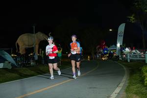 BIB: 
                            <button type="button" onclick="openModal(26173095)" class="btn btn-primary btn-sm float-right btn-popup" data-toggle="modal" data-target=".modal-high-quality">
                        <i class="fas fa-shopping-cart"></i> Add to Cart
                    </button>
                                            <button type="button" onclick="isThisMe(26173095, true)" class="btn btn-success btn-sm float-right btn-popup btn-isme hidden" data-toggle="tooltip" data-placement="bottom" title="นี่คือรูปของคุณใช่ไหม คลิกที่นี่เพื่อเอาเข้าอัลบั้ม">
                        <i class="fas fa-plus"></i> Add to album
                    </button>
                    <button type="button" onclick="isThisMe(26173095, false)" class="btn btn-warning btn-sm float-right btn-popup btn-isnotme hidden">
                        <i class="fas fa-ban"></i> Remove from album
                    </button>