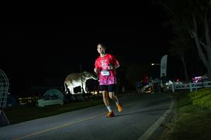 BIB: 
                            <button type="button" onclick="openModal(26171946)" class="btn btn-primary btn-sm float-right btn-popup" data-toggle="modal" data-target=".modal-high-quality">
                        <i class="fas fa-shopping-cart"></i> Add to Cart
                    </button>
                                            <button type="button" onclick="isThisMe(26171946, true)" class="btn btn-success btn-sm float-right btn-popup btn-isme hidden" data-toggle="tooltip" data-placement="bottom" title="นี่คือรูปของคุณใช่ไหม คลิกที่นี่เพื่อเอาเข้าอัลบั้ม">
                        <i class="fas fa-plus"></i> Add to album
                    </button>
                    <button type="button" onclick="isThisMe(26171946, false)" class="btn btn-warning btn-sm float-right btn-popup btn-isnotme hidden">
                        <i class="fas fa-ban"></i> Remove from album
                    </button>