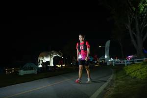 BIB: 
                            <button type="button" onclick="openModal(26171972)" class="btn btn-primary btn-sm float-right btn-popup" data-toggle="modal" data-target=".modal-high-quality">
                        <i class="fas fa-shopping-cart"></i> Add to Cart
                    </button>
                                            <button type="button" onclick="isThisMe(26171972, true)" class="btn btn-success btn-sm float-right btn-popup btn-isme hidden" data-toggle="tooltip" data-placement="bottom" title="นี่คือรูปของคุณใช่ไหม คลิกที่นี่เพื่อเอาเข้าอัลบั้ม">
                        <i class="fas fa-plus"></i> Add to album
                    </button>
                    <button type="button" onclick="isThisMe(26171972, false)" class="btn btn-warning btn-sm float-right btn-popup btn-isnotme hidden">
                        <i class="fas fa-ban"></i> Remove from album
                    </button>