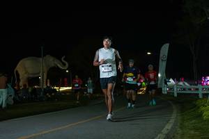 BIB: 
                            <button type="button" onclick="openModal(26172865)" class="btn btn-primary btn-sm float-right btn-popup" data-toggle="modal" data-target=".modal-high-quality">
                        <i class="fas fa-shopping-cart"></i> Add to Cart
                    </button>
                                            <button type="button" onclick="isThisMe(26172865, true)" class="btn btn-success btn-sm float-right btn-popup btn-isme hidden" data-toggle="tooltip" data-placement="bottom" title="นี่คือรูปของคุณใช่ไหม คลิกที่นี่เพื่อเอาเข้าอัลบั้ม">
                        <i class="fas fa-plus"></i> Add to album
                    </button>
                    <button type="button" onclick="isThisMe(26172865, false)" class="btn btn-warning btn-sm float-right btn-popup btn-isnotme hidden">
                        <i class="fas fa-ban"></i> Remove from album
                    </button>