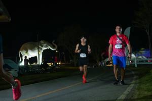 BIB: 
                            <button type="button" onclick="openModal(26172124)" class="btn btn-primary btn-sm float-right btn-popup" data-toggle="modal" data-target=".modal-high-quality">
                        <i class="fas fa-shopping-cart"></i> Add to Cart
                    </button>
                                            <button type="button" onclick="isThisMe(26172124, true)" class="btn btn-success btn-sm float-right btn-popup btn-isme hidden" data-toggle="tooltip" data-placement="bottom" title="นี่คือรูปของคุณใช่ไหม คลิกที่นี่เพื่อเอาเข้าอัลบั้ม">
                        <i class="fas fa-plus"></i> Add to album
                    </button>
                    <button type="button" onclick="isThisMe(26172124, false)" class="btn btn-warning btn-sm float-right btn-popup btn-isnotme hidden">
                        <i class="fas fa-ban"></i> Remove from album
                    </button>