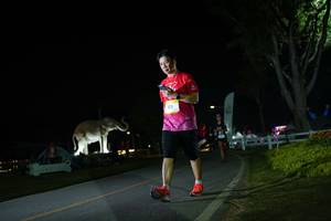 BIB: 
                            <button type="button" onclick="openModal(26172036)" class="btn btn-primary btn-sm float-right btn-popup" data-toggle="modal" data-target=".modal-high-quality">
                        <i class="fas fa-shopping-cart"></i> Add to Cart
                    </button>
                                            <button type="button" onclick="isThisMe(26172036, true)" class="btn btn-success btn-sm float-right btn-popup btn-isme hidden" data-toggle="tooltip" data-placement="bottom" title="นี่คือรูปของคุณใช่ไหม คลิกที่นี่เพื่อเอาเข้าอัลบั้ม">
                        <i class="fas fa-plus"></i> Add to album
                    </button>
                    <button type="button" onclick="isThisMe(26172036, false)" class="btn btn-warning btn-sm float-right btn-popup btn-isnotme hidden">
                        <i class="fas fa-ban"></i> Remove from album
                    </button>