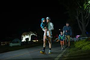 BIB: 
                            <button type="button" onclick="openModal(26171970)" class="btn btn-primary btn-sm float-right btn-popup" data-toggle="modal" data-target=".modal-high-quality">
                        <i class="fas fa-shopping-cart"></i> Add to Cart
                    </button>
                                            <button type="button" onclick="isThisMe(26171970, true)" class="btn btn-success btn-sm float-right btn-popup btn-isme hidden" data-toggle="tooltip" data-placement="bottom" title="นี่คือรูปของคุณใช่ไหม คลิกที่นี่เพื่อเอาเข้าอัลบั้ม">
                        <i class="fas fa-plus"></i> Add to album
                    </button>
                    <button type="button" onclick="isThisMe(26171970, false)" class="btn btn-warning btn-sm float-right btn-popup btn-isnotme hidden">
                        <i class="fas fa-ban"></i> Remove from album
                    </button>