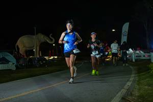 BIB: 
                            <button type="button" onclick="openModal(26172896)" class="btn btn-primary btn-sm float-right btn-popup" data-toggle="modal" data-target=".modal-high-quality">
                        <i class="fas fa-shopping-cart"></i> Add to Cart
                    </button>
                                            <button type="button" onclick="isThisMe(26172896, true)" class="btn btn-success btn-sm float-right btn-popup btn-isme hidden" data-toggle="tooltip" data-placement="bottom" title="นี่คือรูปของคุณใช่ไหม คลิกที่นี่เพื่อเอาเข้าอัลบั้ม">
                        <i class="fas fa-plus"></i> Add to album
                    </button>
                    <button type="button" onclick="isThisMe(26172896, false)" class="btn btn-warning btn-sm float-right btn-popup btn-isnotme hidden">
                        <i class="fas fa-ban"></i> Remove from album
                    </button>