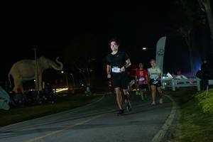 BIB: 
                            <button type="button" onclick="openModal(26172720)" class="btn btn-primary btn-sm float-right btn-popup" data-toggle="modal" data-target=".modal-high-quality">
                        <i class="fas fa-shopping-cart"></i> Add to Cart
                    </button>
                                            <button type="button" onclick="isThisMe(26172720, true)" class="btn btn-success btn-sm float-right btn-popup btn-isme hidden" data-toggle="tooltip" data-placement="bottom" title="นี่คือรูปของคุณใช่ไหม คลิกที่นี่เพื่อเอาเข้าอัลบั้ม">
                        <i class="fas fa-plus"></i> Add to album
                    </button>
                    <button type="button" onclick="isThisMe(26172720, false)" class="btn btn-warning btn-sm float-right btn-popup btn-isnotme hidden">
                        <i class="fas fa-ban"></i> Remove from album
                    </button>