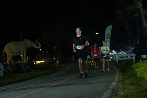 BIB: 
                            <button type="button" onclick="openModal(26172719)" class="btn btn-primary btn-sm float-right btn-popup" data-toggle="modal" data-target=".modal-high-quality">
                        <i class="fas fa-shopping-cart"></i> Add to Cart
                    </button>
                                            <button type="button" onclick="isThisMe(26172719, true)" class="btn btn-success btn-sm float-right btn-popup btn-isme hidden" data-toggle="tooltip" data-placement="bottom" title="นี่คือรูปของคุณใช่ไหม คลิกที่นี่เพื่อเอาเข้าอัลบั้ม">
                        <i class="fas fa-plus"></i> Add to album
                    </button>
                    <button type="button" onclick="isThisMe(26172719, false)" class="btn btn-warning btn-sm float-right btn-popup btn-isnotme hidden">
                        <i class="fas fa-ban"></i> Remove from album
                    </button>