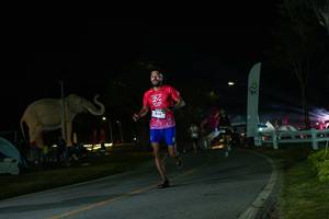 BIB: 
                            <button type="button" onclick="openModal(26172410)" class="btn btn-primary btn-sm float-right btn-popup" data-toggle="modal" data-target=".modal-high-quality">
                        <i class="fas fa-shopping-cart"></i> Add to Cart
                    </button>
                                            <button type="button" onclick="isThisMe(26172410, true)" class="btn btn-success btn-sm float-right btn-popup btn-isme hidden" data-toggle="tooltip" data-placement="bottom" title="นี่คือรูปของคุณใช่ไหม คลิกที่นี่เพื่อเอาเข้าอัลบั้ม">
                        <i class="fas fa-plus"></i> Add to album
                    </button>
                    <button type="button" onclick="isThisMe(26172410, false)" class="btn btn-warning btn-sm float-right btn-popup btn-isnotme hidden">
                        <i class="fas fa-ban"></i> Remove from album
                    </button>