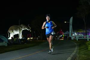 BIB: 
                            <button type="button" onclick="openModal(26172290)" class="btn btn-primary btn-sm float-right btn-popup" data-toggle="modal" data-target=".modal-high-quality">
                        <i class="fas fa-shopping-cart"></i> Add to Cart
                    </button>
                                            <button type="button" onclick="isThisMe(26172290, true)" class="btn btn-success btn-sm float-right btn-popup btn-isme hidden" data-toggle="tooltip" data-placement="bottom" title="นี่คือรูปของคุณใช่ไหม คลิกที่นี่เพื่อเอาเข้าอัลบั้ม">
                        <i class="fas fa-plus"></i> Add to album
                    </button>
                    <button type="button" onclick="isThisMe(26172290, false)" class="btn btn-warning btn-sm float-right btn-popup btn-isnotme hidden">
                        <i class="fas fa-ban"></i> Remove from album
                    </button>