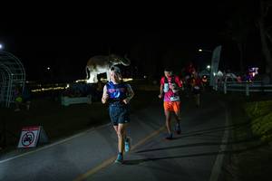 BIB: 
                            <button type="button" onclick="openModal(26171677)" class="btn btn-primary btn-sm float-right btn-popup" data-toggle="modal" data-target=".modal-high-quality">
                        <i class="fas fa-shopping-cart"></i> Add to Cart
                    </button>
                                            <button type="button" onclick="isThisMe(26171677, true)" class="btn btn-success btn-sm float-right btn-popup btn-isme hidden" data-toggle="tooltip" data-placement="bottom" title="นี่คือรูปของคุณใช่ไหม คลิกที่นี่เพื่อเอาเข้าอัลบั้ม">
                        <i class="fas fa-plus"></i> Add to album
                    </button>
                    <button type="button" onclick="isThisMe(26171677, false)" class="btn btn-warning btn-sm float-right btn-popup btn-isnotme hidden">
                        <i class="fas fa-ban"></i> Remove from album
                    </button>