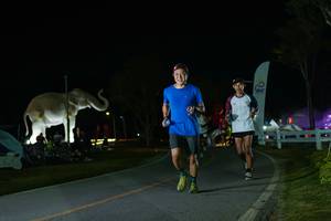 BIB: 
                            <button type="button" onclick="openModal(26172157)" class="btn btn-primary btn-sm float-right btn-popup" data-toggle="modal" data-target=".modal-high-quality">
                        <i class="fas fa-shopping-cart"></i> Add to Cart
                    </button>
                                            <button type="button" onclick="isThisMe(26172157, true)" class="btn btn-success btn-sm float-right btn-popup btn-isme hidden" data-toggle="tooltip" data-placement="bottom" title="นี่คือรูปของคุณใช่ไหม คลิกที่นี่เพื่อเอาเข้าอัลบั้ม">
                        <i class="fas fa-plus"></i> Add to album
                    </button>
                    <button type="button" onclick="isThisMe(26172157, false)" class="btn btn-warning btn-sm float-right btn-popup btn-isnotme hidden">
                        <i class="fas fa-ban"></i> Remove from album
                    </button>