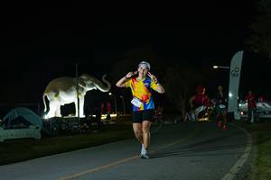 BIB: 
                            <button type="button" onclick="openModal(26172082)" class="btn btn-primary btn-sm float-right btn-popup" data-toggle="modal" data-target=".modal-high-quality">
                        <i class="fas fa-shopping-cart"></i> Add to Cart
                    </button>
                                            <button type="button" onclick="isThisMe(26172082, true)" class="btn btn-success btn-sm float-right btn-popup btn-isme hidden" data-toggle="tooltip" data-placement="bottom" title="นี่คือรูปของคุณใช่ไหม คลิกที่นี่เพื่อเอาเข้าอัลบั้ม">
                        <i class="fas fa-plus"></i> Add to album
                    </button>
                    <button type="button" onclick="isThisMe(26172082, false)" class="btn btn-warning btn-sm float-right btn-popup btn-isnotme hidden">
                        <i class="fas fa-ban"></i> Remove from album
                    </button>