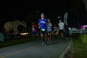 BIB: 
                            <button type="button" onclick="openModal(26172903)" class="btn btn-primary btn-sm float-right btn-popup" data-toggle="modal" data-target=".modal-high-quality">
                        <i class="fas fa-shopping-cart"></i> Add to Cart
                    </button>
                                            <button type="button" onclick="isThisMe(26172903, true)" class="btn btn-success btn-sm float-right btn-popup btn-isme hidden" data-toggle="tooltip" data-placement="bottom" title="นี่คือรูปของคุณใช่ไหม คลิกที่นี่เพื่อเอาเข้าอัลบั้ม">
                        <i class="fas fa-plus"></i> Add to album
                    </button>
                    <button type="button" onclick="isThisMe(26172903, false)" class="btn btn-warning btn-sm float-right btn-popup btn-isnotme hidden">
                        <i class="fas fa-ban"></i> Remove from album
                    </button>