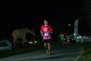 BIB: 
                            <button type="button" onclick="openModal(26172538)" class="btn btn-primary btn-sm float-right btn-popup" data-toggle="modal" data-target=".modal-high-quality">
                        <i class="fas fa-shopping-cart"></i> Add to Cart
                    </button>
                                            <button type="button" onclick="isThisMe(26172538, true)" class="btn btn-success btn-sm float-right btn-popup btn-isme hidden" data-toggle="tooltip" data-placement="bottom" title="นี่คือรูปของคุณใช่ไหม คลิกที่นี่เพื่อเอาเข้าอัลบั้ม">
                        <i class="fas fa-plus"></i> Add to album
                    </button>
                    <button type="button" onclick="isThisMe(26172538, false)" class="btn btn-warning btn-sm float-right btn-popup btn-isnotme hidden">
                        <i class="fas fa-ban"></i> Remove from album
                    </button>