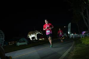 BIB: 
                            <button type="button" onclick="openModal(26171941)" class="btn btn-primary btn-sm float-right btn-popup" data-toggle="modal" data-target=".modal-high-quality">
                        <i class="fas fa-shopping-cart"></i> Add to Cart
                    </button>
                                            <button type="button" onclick="isThisMe(26171941, true)" class="btn btn-success btn-sm float-right btn-popup btn-isme hidden" data-toggle="tooltip" data-placement="bottom" title="นี่คือรูปของคุณใช่ไหม คลิกที่นี่เพื่อเอาเข้าอัลบั้ม">
                        <i class="fas fa-plus"></i> Add to album
                    </button>
                    <button type="button" onclick="isThisMe(26171941, false)" class="btn btn-warning btn-sm float-right btn-popup btn-isnotme hidden">
                        <i class="fas fa-ban"></i> Remove from album
                    </button>