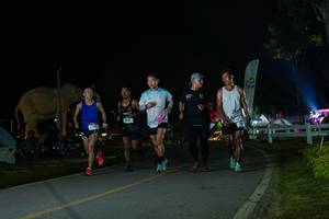 BIB: 
                            <button type="button" onclick="openModal(26172765)" class="btn btn-primary btn-sm float-right btn-popup" data-toggle="modal" data-target=".modal-high-quality">
                        <i class="fas fa-shopping-cart"></i> Add to Cart
                    </button>
                                            <button type="button" onclick="isThisMe(26172765, true)" class="btn btn-success btn-sm float-right btn-popup btn-isme hidden" data-toggle="tooltip" data-placement="bottom" title="นี่คือรูปของคุณใช่ไหม คลิกที่นี่เพื่อเอาเข้าอัลบั้ม">
                        <i class="fas fa-plus"></i> Add to album
                    </button>
                    <button type="button" onclick="isThisMe(26172765, false)" class="btn btn-warning btn-sm float-right btn-popup btn-isnotme hidden">
                        <i class="fas fa-ban"></i> Remove from album
                    </button>