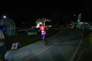 BIB: 
                            <button type="button" onclick="openModal(26171712)" class="btn btn-primary btn-sm float-right btn-popup" data-toggle="modal" data-target=".modal-high-quality">
                        <i class="fas fa-shopping-cart"></i> Add to Cart
                    </button>
                                            <button type="button" onclick="isThisMe(26171712, true)" class="btn btn-success btn-sm float-right btn-popup btn-isme hidden" data-toggle="tooltip" data-placement="bottom" title="นี่คือรูปของคุณใช่ไหม คลิกที่นี่เพื่อเอาเข้าอัลบั้ม">
                        <i class="fas fa-plus"></i> Add to album
                    </button>
                    <button type="button" onclick="isThisMe(26171712, false)" class="btn btn-warning btn-sm float-right btn-popup btn-isnotme hidden">
                        <i class="fas fa-ban"></i> Remove from album
                    </button>