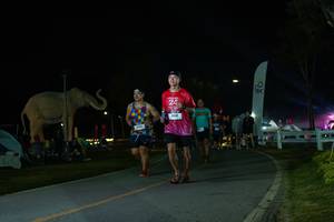 BIB: 
                            <button type="button" onclick="openModal(26172456)" class="btn btn-primary btn-sm float-right btn-popup" data-toggle="modal" data-target=".modal-high-quality">
                        <i class="fas fa-shopping-cart"></i> Add to Cart
                    </button>
                                            <button type="button" onclick="isThisMe(26172456, true)" class="btn btn-success btn-sm float-right btn-popup btn-isme hidden" data-toggle="tooltip" data-placement="bottom" title="นี่คือรูปของคุณใช่ไหม คลิกที่นี่เพื่อเอาเข้าอัลบั้ม">
                        <i class="fas fa-plus"></i> Add to album
                    </button>
                    <button type="button" onclick="isThisMe(26172456, false)" class="btn btn-warning btn-sm float-right btn-popup btn-isnotme hidden">
                        <i class="fas fa-ban"></i> Remove from album
                    </button>