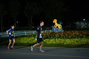 BIB: 
                            <button type="button" onclick="openModal(26173144)" class="btn btn-primary btn-sm float-right btn-popup" data-toggle="modal" data-target=".modal-high-quality">
                        <i class="fas fa-shopping-cart"></i> Add to Cart
                    </button>
                                            <button type="button" onclick="isThisMe(26173144, true)" class="btn btn-success btn-sm float-right btn-popup btn-isme hidden" data-toggle="tooltip" data-placement="bottom" title="นี่คือรูปของคุณใช่ไหม คลิกที่นี่เพื่อเอาเข้าอัลบั้ม">
                        <i class="fas fa-plus"></i> Add to album
                    </button>
                    <button type="button" onclick="isThisMe(26173144, false)" class="btn btn-warning btn-sm float-right btn-popup btn-isnotme hidden">
                        <i class="fas fa-ban"></i> Remove from album
                    </button>