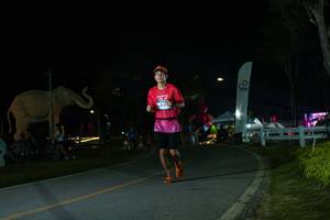 BIB: 
                            <button type="button" onclick="openModal(26172830)" class="btn btn-primary btn-sm float-right btn-popup" data-toggle="modal" data-target=".modal-high-quality">
                        <i class="fas fa-shopping-cart"></i> Add to Cart
                    </button>
                                            <button type="button" onclick="isThisMe(26172830, true)" class="btn btn-success btn-sm float-right btn-popup btn-isme hidden" data-toggle="tooltip" data-placement="bottom" title="นี่คือรูปของคุณใช่ไหม คลิกที่นี่เพื่อเอาเข้าอัลบั้ม">
                        <i class="fas fa-plus"></i> Add to album
                    </button>
                    <button type="button" onclick="isThisMe(26172830, false)" class="btn btn-warning btn-sm float-right btn-popup btn-isnotme hidden">
                        <i class="fas fa-ban"></i> Remove from album
                    </button>