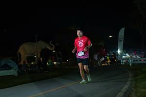 BIB: 
                            <button type="button" onclick="openModal(26172498)" class="btn btn-primary btn-sm float-right btn-popup" data-toggle="modal" data-target=".modal-high-quality">
                        <i class="fas fa-shopping-cart"></i> Add to Cart
                    </button>
                                            <button type="button" onclick="isThisMe(26172498, true)" class="btn btn-success btn-sm float-right btn-popup btn-isme hidden" data-toggle="tooltip" data-placement="bottom" title="นี่คือรูปของคุณใช่ไหม คลิกที่นี่เพื่อเอาเข้าอัลบั้ม">
                        <i class="fas fa-plus"></i> Add to album
                    </button>
                    <button type="button" onclick="isThisMe(26172498, false)" class="btn btn-warning btn-sm float-right btn-popup btn-isnotme hidden">
                        <i class="fas fa-ban"></i> Remove from album
                    </button>