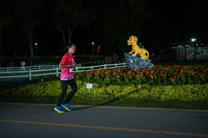 BIB: 
                            <button type="button" onclick="openModal(26173154)" class="btn btn-primary btn-sm float-right btn-popup" data-toggle="modal" data-target=".modal-high-quality">
                        <i class="fas fa-shopping-cart"></i> Add to Cart
                    </button>
                                            <button type="button" onclick="isThisMe(26173154, true)" class="btn btn-success btn-sm float-right btn-popup btn-isme hidden" data-toggle="tooltip" data-placement="bottom" title="นี่คือรูปของคุณใช่ไหม คลิกที่นี่เพื่อเอาเข้าอัลบั้ม">
                        <i class="fas fa-plus"></i> Add to album
                    </button>
                    <button type="button" onclick="isThisMe(26173154, false)" class="btn btn-warning btn-sm float-right btn-popup btn-isnotme hidden">
                        <i class="fas fa-ban"></i> Remove from album
                    </button>