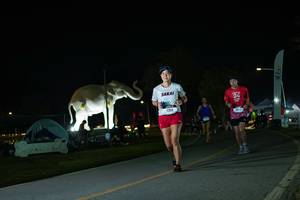 BIB: 
                            <button type="button" onclick="openModal(26172271)" class="btn btn-primary btn-sm float-right btn-popup" data-toggle="modal" data-target=".modal-high-quality">
                        <i class="fas fa-shopping-cart"></i> Add to Cart
                    </button>
                                            <button type="button" onclick="isThisMe(26172271, true)" class="btn btn-success btn-sm float-right btn-popup btn-isme hidden" data-toggle="tooltip" data-placement="bottom" title="นี่คือรูปของคุณใช่ไหม คลิกที่นี่เพื่อเอาเข้าอัลบั้ม">
                        <i class="fas fa-plus"></i> Add to album
                    </button>
                    <button type="button" onclick="isThisMe(26172271, false)" class="btn btn-warning btn-sm float-right btn-popup btn-isnotme hidden">
                        <i class="fas fa-ban"></i> Remove from album
                    </button>