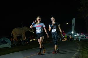 BIB: 
                            <button type="button" onclick="openModal(26172627)" class="btn btn-primary btn-sm float-right btn-popup" data-toggle="modal" data-target=".modal-high-quality">
                        <i class="fas fa-shopping-cart"></i> Add to Cart
                    </button>
                                            <button type="button" onclick="isThisMe(26172627, true)" class="btn btn-success btn-sm float-right btn-popup btn-isme hidden" data-toggle="tooltip" data-placement="bottom" title="นี่คือรูปของคุณใช่ไหม คลิกที่นี่เพื่อเอาเข้าอัลบั้ม">
                        <i class="fas fa-plus"></i> Add to album
                    </button>
                    <button type="button" onclick="isThisMe(26172627, false)" class="btn btn-warning btn-sm float-right btn-popup btn-isnotme hidden">
                        <i class="fas fa-ban"></i> Remove from album
                    </button>